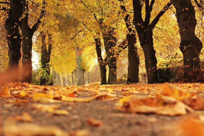 ¿Cuándo acaba el verano y empieza el otoño?