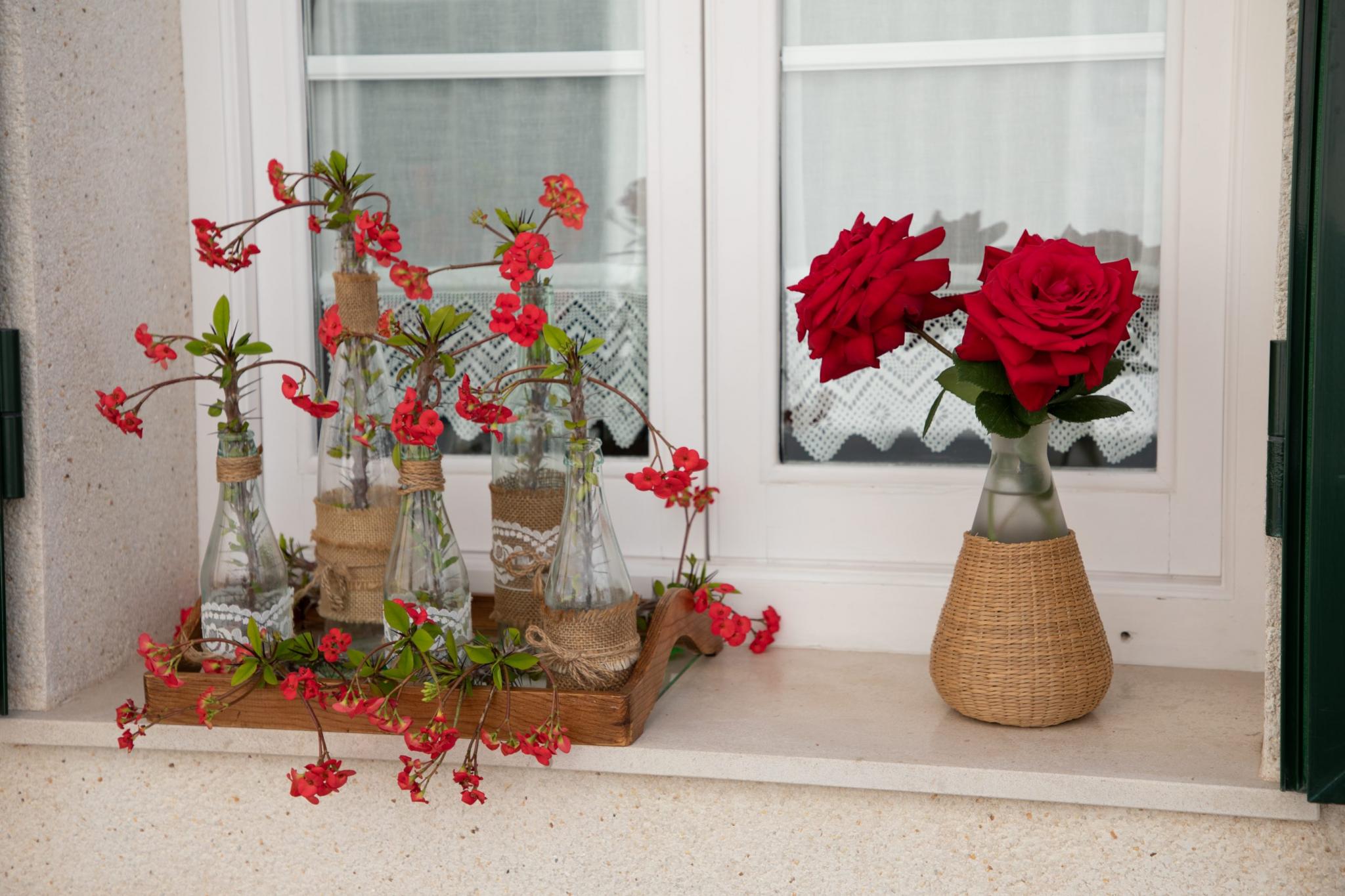 menorca migjorn flors als carrers