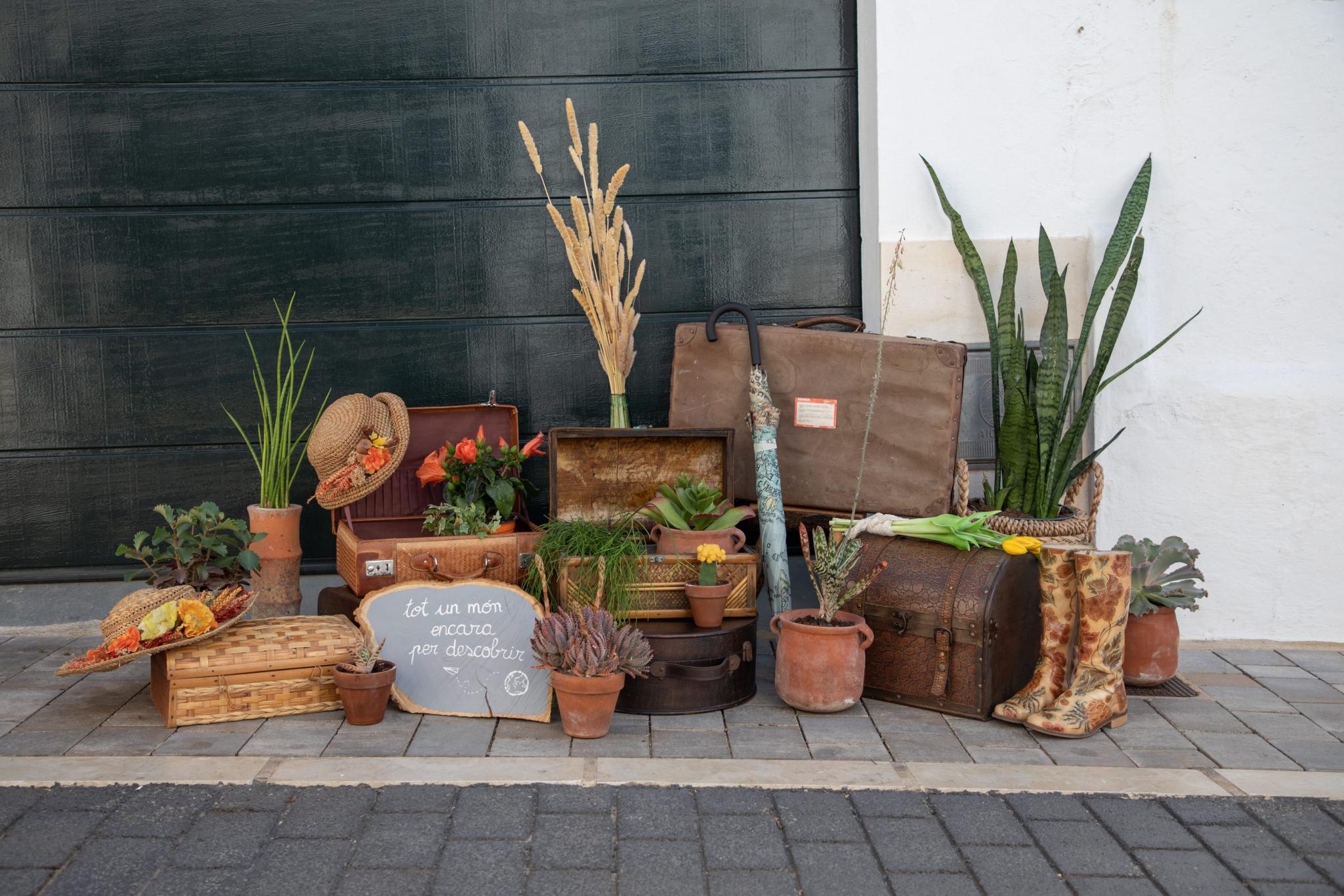 menorca migjorn flors als carrers