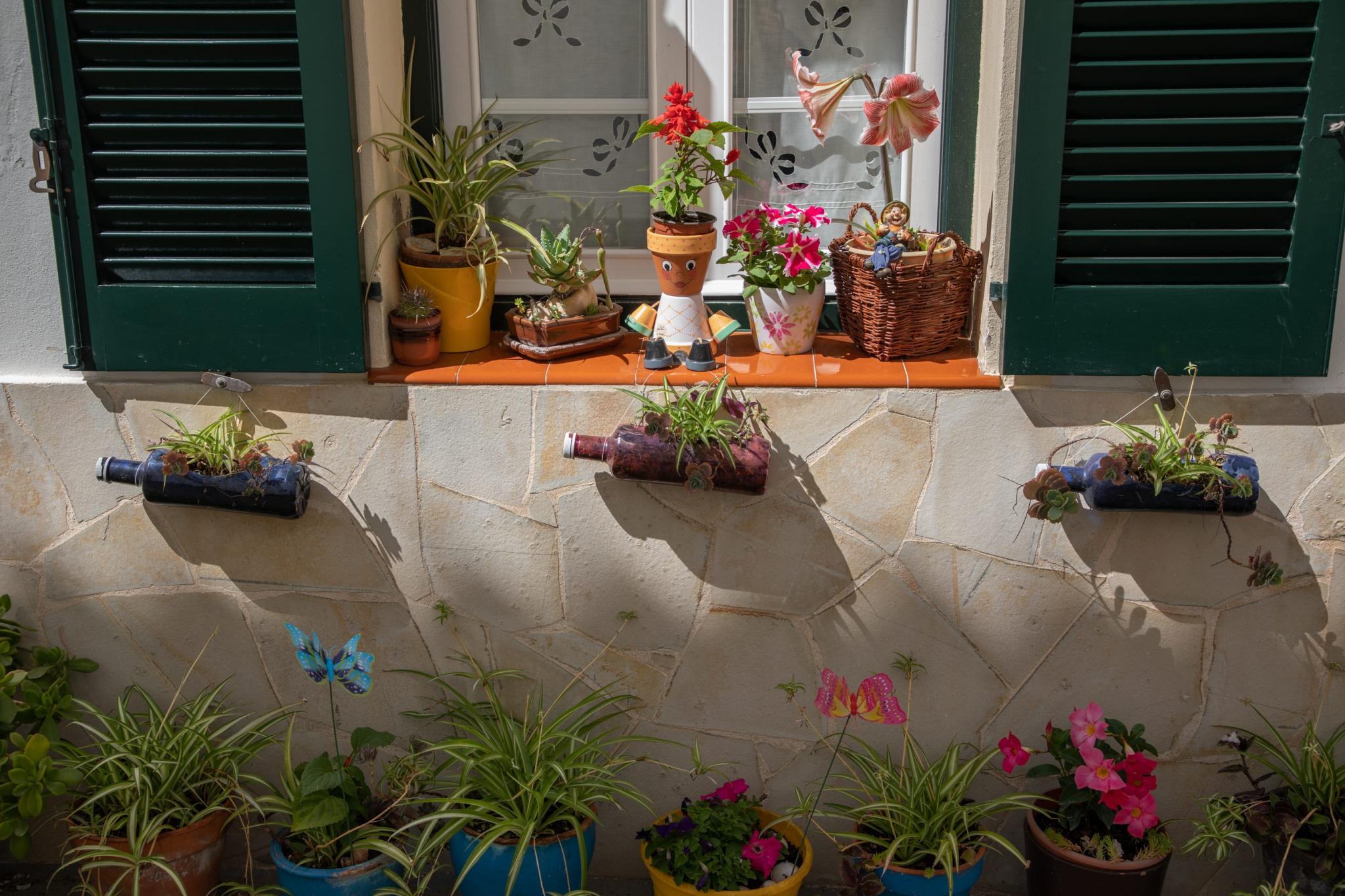 menorca migjorn flors als carrers