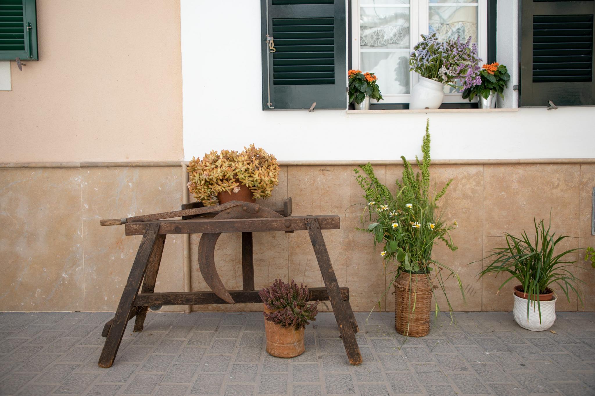 menorca migjorn flors als carrers