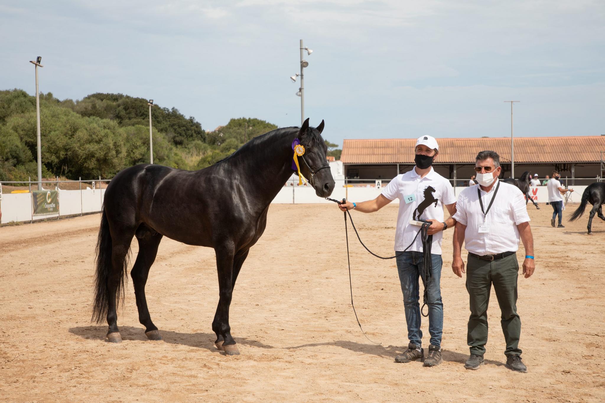 menorca mercadal Concurs morfològic. Fotos de mentre valoren fins entrega de premis