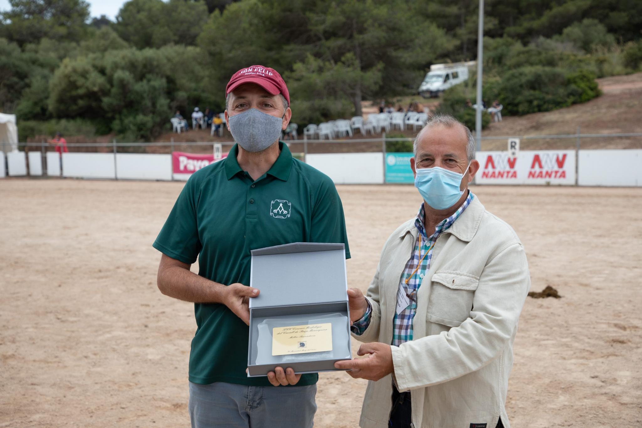 menorca mercadal Concurs morfològic. Fotos de mentre valoren fins entrega de premis