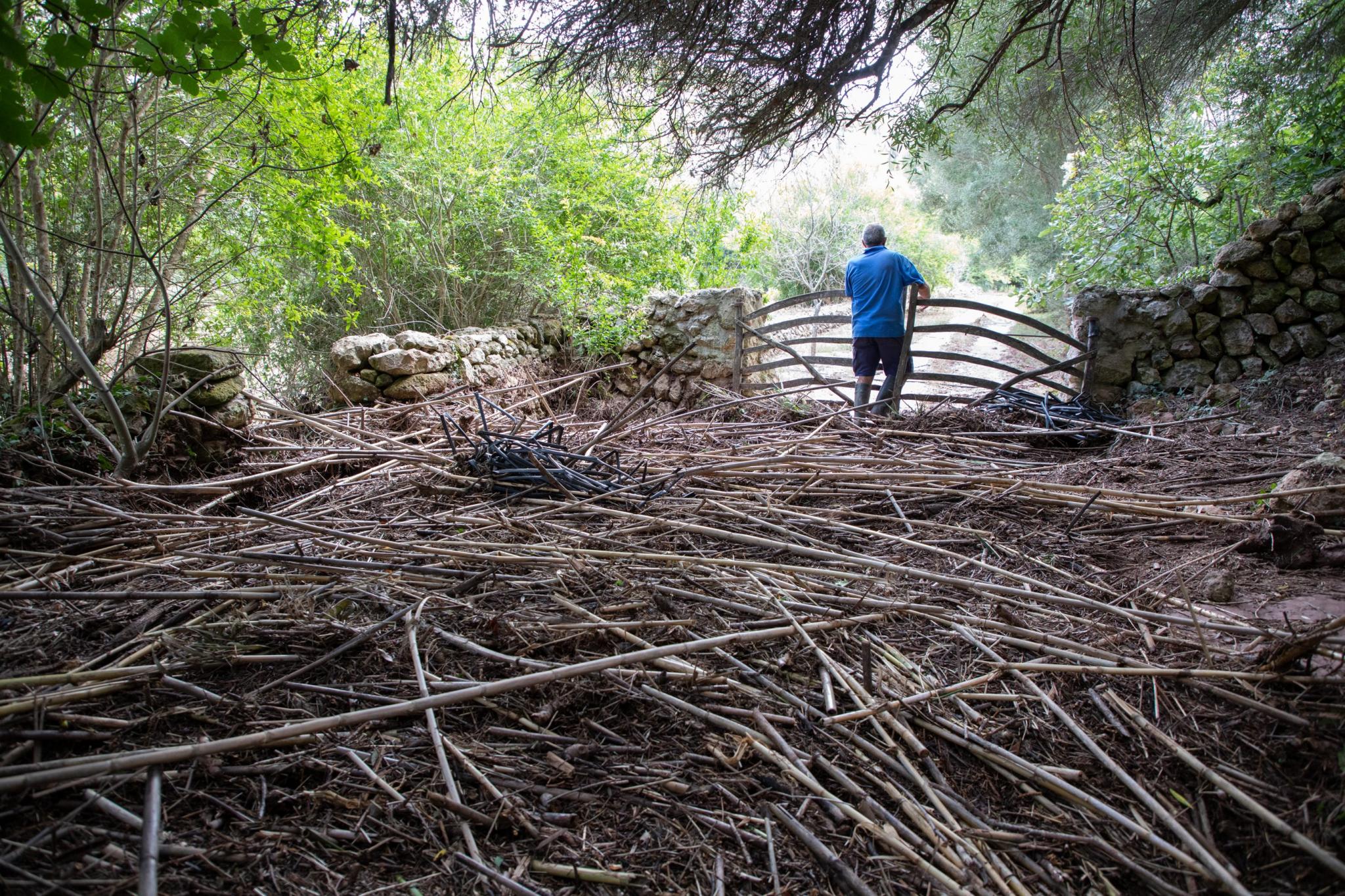 menorca efectos de la dana lluvia torrencial torrent algendar barranc d'algendar son pruna s'aranjassa moli de dalt
