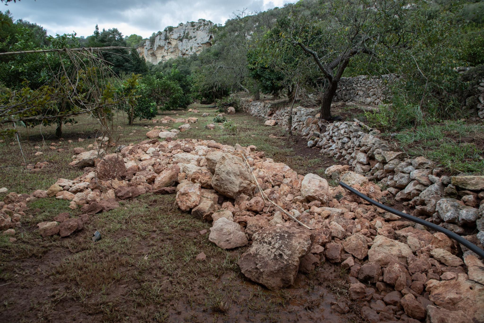 menorca efectos de la dana lluvia torrencial torrent algendar barranc d'algendar son pruna s'aranjassa moli de dalt