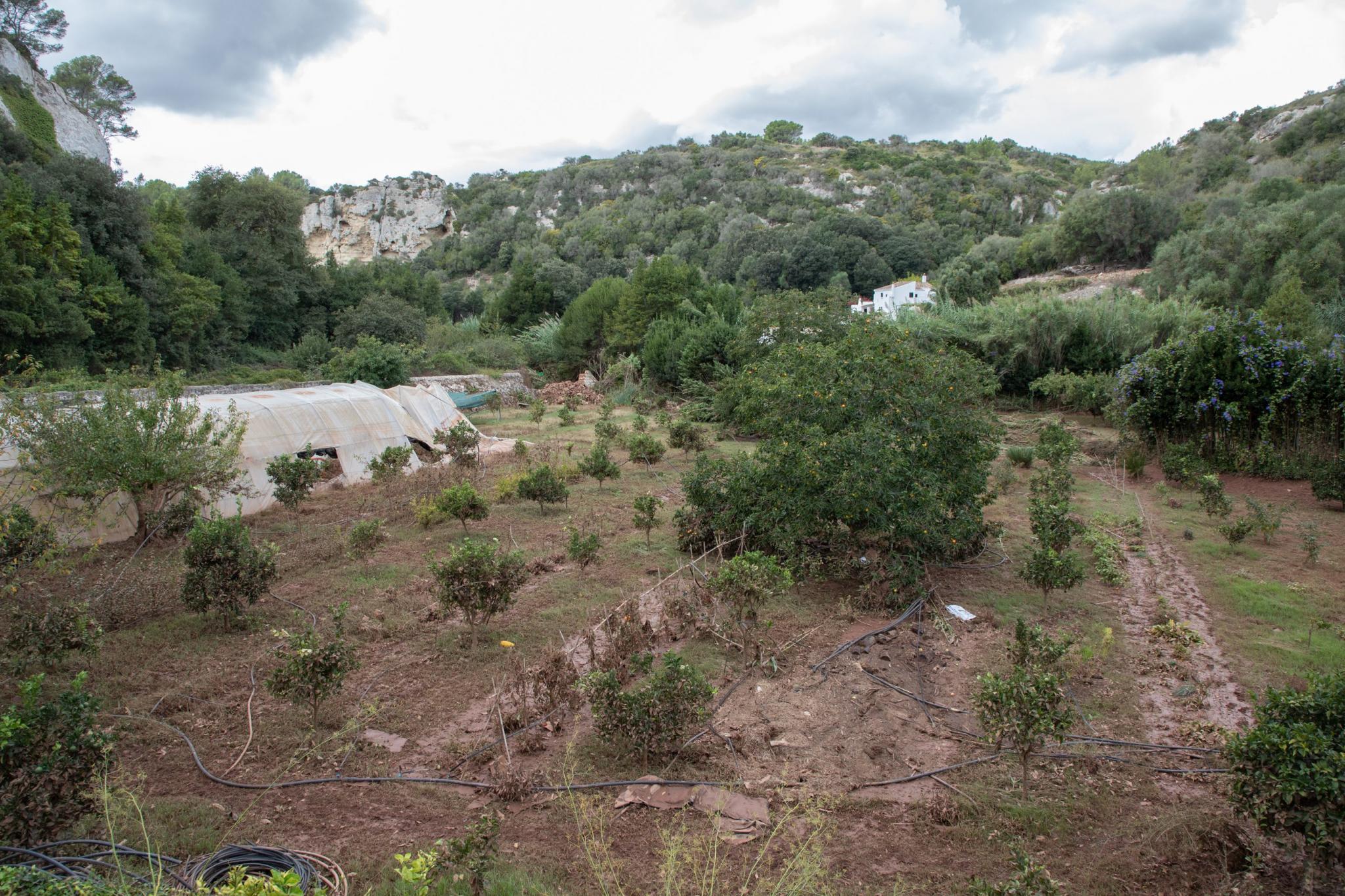 menorca efectos de la dana lluvia torrencial torrent algendar barranc d'algendar son pruna s'aranjassa moli de dalt