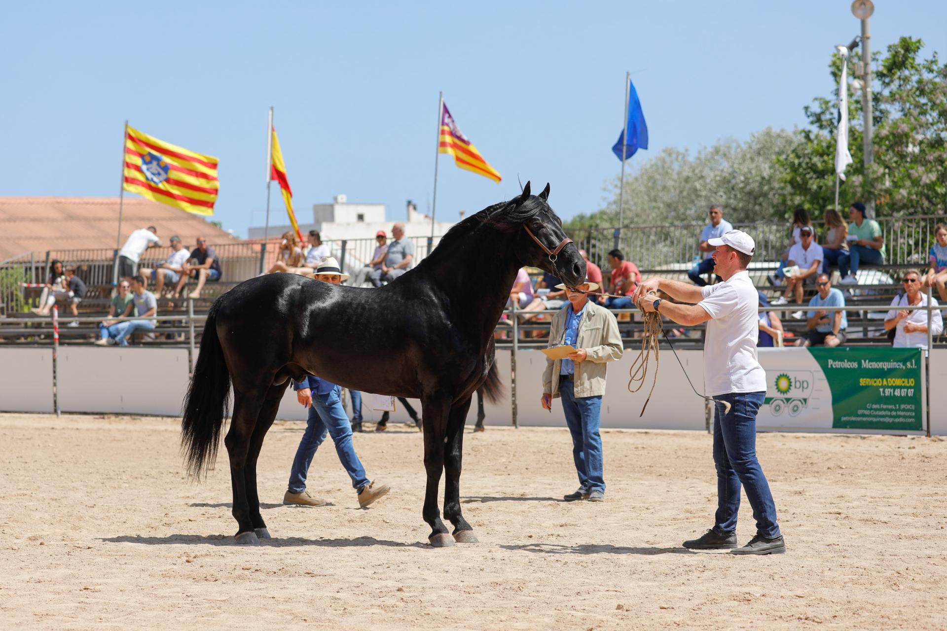 Fira des Cavall 2022.
