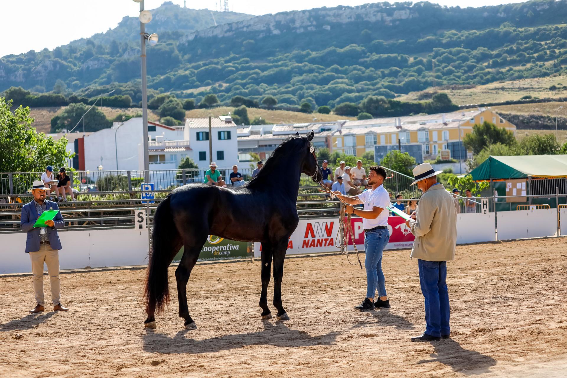 Fira des Cavall 2022.