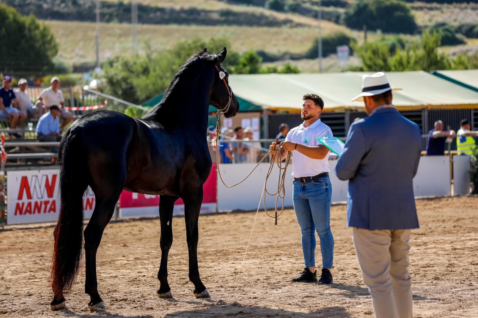 Fira des Cavall 2022.