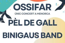 Sant Martí Fest 2026 a Es Mercadal: Únic concert d'Ossifar, Pèl de Gall i Binigaus Band · foto 2