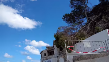 Pino a punto de caerse en el Fonduco.
