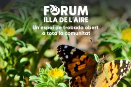 3° Forum Illa del Aire a Sant Lluís