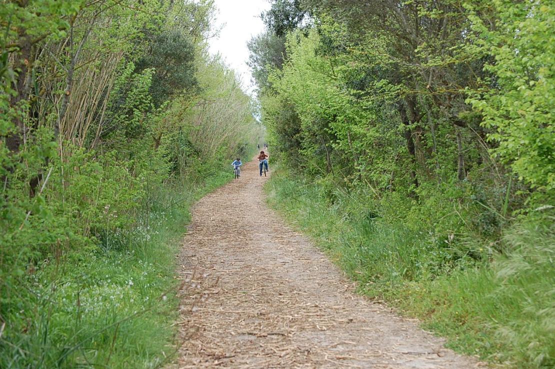 S'Albufera