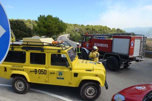 Imágenes de los incendios del 14 de septiembre en Son Parc y Sa Costa Nova. FOTO: PACO STURLA