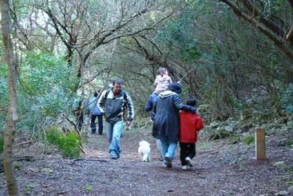 EXCURSIÓN. Tuvo lugar el pasado domingo. - GOB