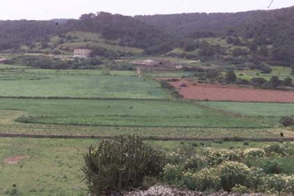 Paisaje. Desde el equipo de gobierno se defiende la preservación como herramienta de generación de riqueza a largo plazo - Archivo