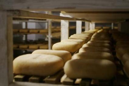 Las ventas de queso artesano con Denominación de Origen Mahón-Menorca aumentaron en 2009.