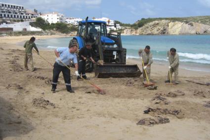 Los operarios del Servicio Insular de Limpieza de Playas en el Arenal d'en Castell. - P.CIME