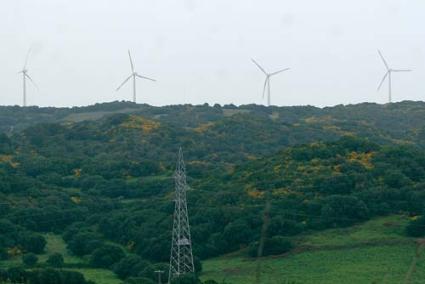 Parque eólico. El 1 por ciento de la "energía limpia" de la Isla fue producida por los aerogeneradores - Archivo