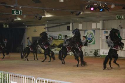 Espectacle. Oferit per nou cavalls de la Yeguada Linares Ortiz, un de la Yeguada San Adeodato i quatre ballarins - Javier