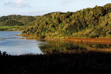 Menorca contará con nueve nuevos Lugares de Interés Común que protegerán once estanques temporales. - Archivo