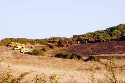 extinción. La rápida intervención evitó que las llamas se propagaran a un bosque cercano - Cris