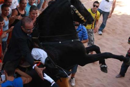 Cavall. Una cinquantena de caixers van participar ahir en la primera jornada de les festes patronals en honor a Sant Martí - Gemma Andreu