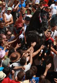 Festa. Cavalls i cavallers van celebrar ahir el darrer jaleo de Sant Martí oferint a la gent tres voltes de salts i el lliurament de les canyes verdes - gemma andreu