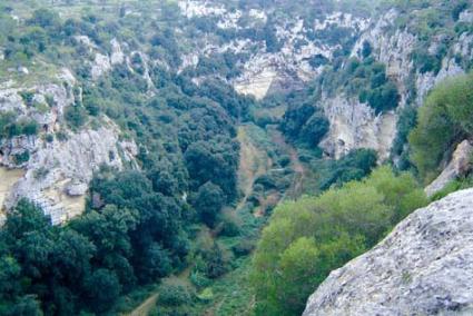 Algendar. The gorge contains rare plants endemic to Menorca