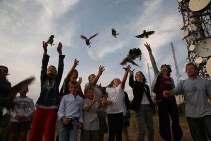 Libres. Los voluntarios, quienes Acogieron a las aves en sus casas hasta que fueron al Centro de Recuperación, fueron los encargados de liberar a los autillos desde El Toro - Javier