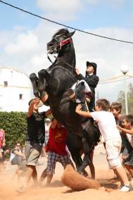 Entre cavalls, pomades i tapes de calamars, residents i visitants van poder gaudir ahir de les festes de Cala en Porter sota un sol que regalava un dia més d’estiu - Javier