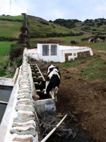 Exemples. Les superfícies de captació d’aigua són diverses, des de les cobertes als camins, camps de cultiu, roquissars, eres i terrats - f. v. i j. c.