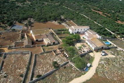 Terrenos. La plantación de la viña de Torralbenc, en la carretera de Maó a Cala en Porter, comenzó en 2007 pero no se legalizó hasta 2009 - Archivo