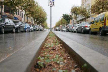 Parterres. Están sin vegetación y muy estrechos, según el PP - Cris