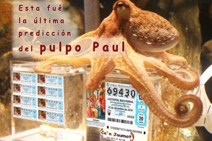 Pulpo Paul - Can Jaumot