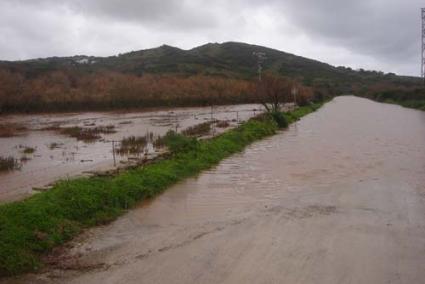 "Basses de Lluriac". El temporal provocó que la carretera se encharcara y quedara sumergida en esta zona húmeda - lita lópez