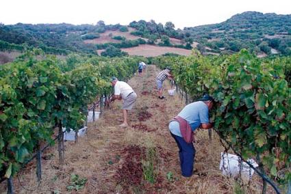 L’excursió de dissabte inclou una visita al ferrer Lluís Vinent, una explicació del mestre d’aixa Miquel Huguet i una aturada a l’Hort de Sant Patrici - Arxiu