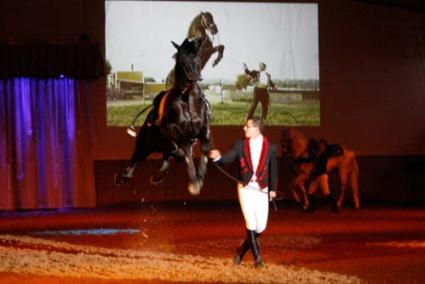 Espectáculo. "Somni" es una extraordinaria exhibición de disciplina, ritmo y elegancia entre jinetes y caballos - Cris