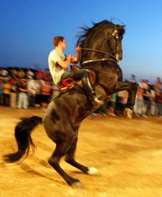 Els cavalls van embullar l’ambient al lloc del caixer pagès. - Carles Mascaró