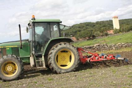 La mayoría de las fincas tiene hecho el trabajo al que se comprometieron y temen no cobrar - Archivo