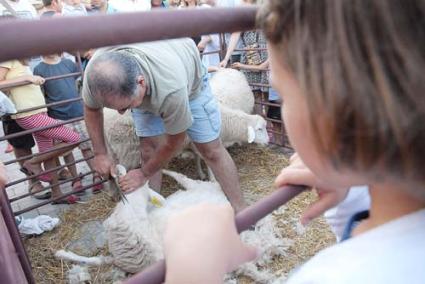 Ambient. Molta gent no va voler perdre’s les demostracions dels pagesos i va aprofitar per comprar en el mercat - Paco Sturla