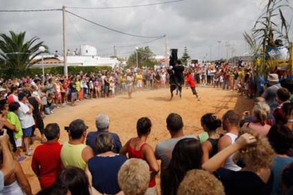 Observadores y partícipes. Una gran cantidad de residentes y visitantes siguieron de cerca las evoluciones de los caballos, aunque solo unos pocos se atrevieron a entrar en contacto con los animales - Carles Mascaró