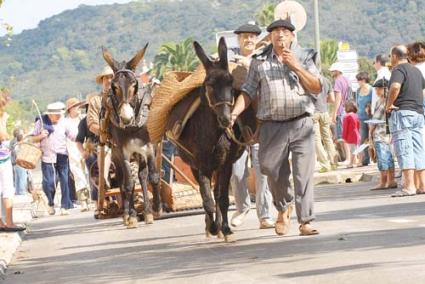 De época. A las 11 horas se inició el desfile con vestuario tradicional, caballos, burros, ponies y todo tipo de herramientas del campo antiguas que actualmente no se utilizan. - Paco Sturla