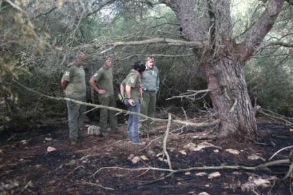 BRIGADAS. Varios técnicos forestales del IBANAT investigaban ayer las causas del incendio - Javier