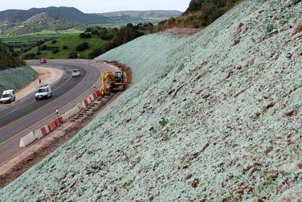 VERDE. Los márgenes de la carretera aparecieron ayer de este color, sorprendiendo a más de un conductor - Gemma Andreu