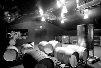 Bodegas. Interior de las instalaciones de Hort de Sant Patrici - Archivo