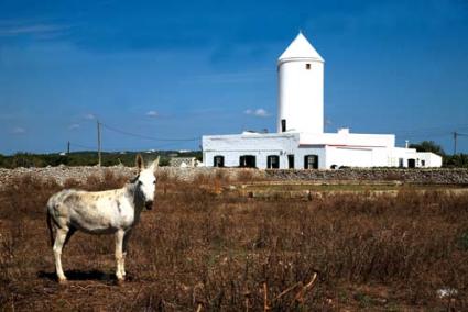 Inventario. La asociación tiene por finalidad documentar los molinos de Menorca - Archivo