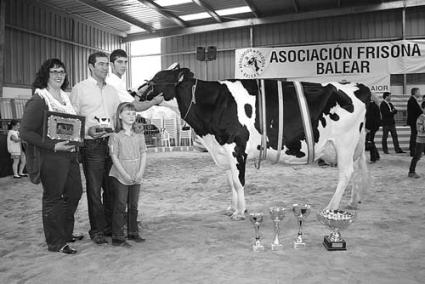 Ses Arenetes. En marzo se llevó varios premios en la Fira del Camp - Archivo