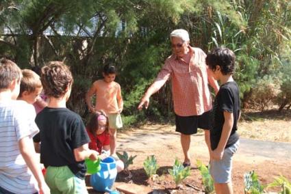 Hort. Al llarg de sis mesos dos avis han ajudat els alumnes a cultivar vegetals - c. v. c.