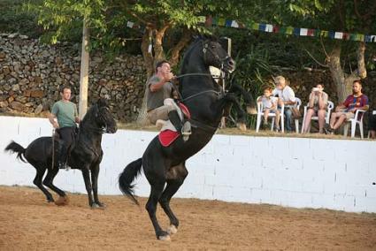 Club Hípic Ses Ramones. Va ser l’escenari de la trobada de cavalls prèvia als dos jaleos que tindran lloc la propera setmana - Javier